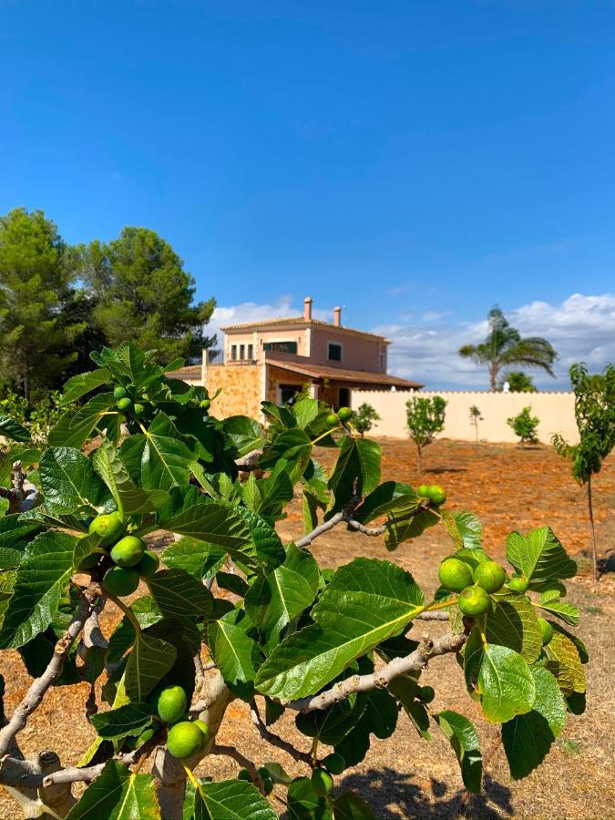 Son Amal * Algaida (Mallorca)