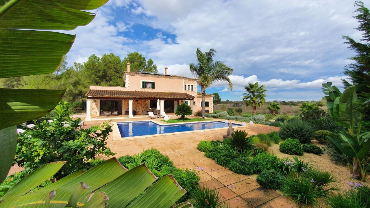 Son Amal Ferienhaus Algaida (Mallorca)
